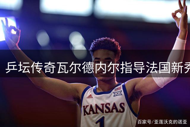 乒坛传奇瓦尔德内尔指导法国新秀，传授发球绝技