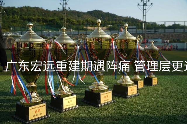 广东宏远重建期遇阵痛 管理层更迭引发连锁反应