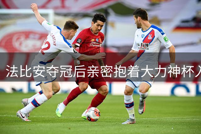法比安夺冠后亲密抱着大力神杯入睡，社交媒体引发热议