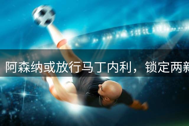 阿森纳或放行马丁内利，锁定两新援接替